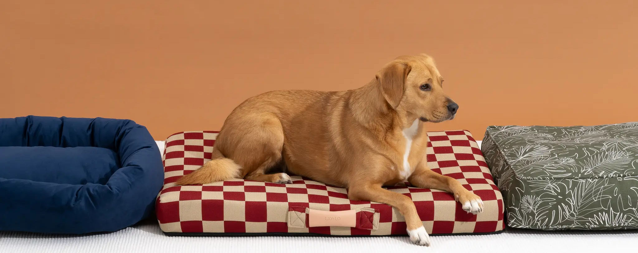 Disney 1 Disney -Disney 1