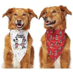 Disney Mickey Mouse & Minnie Mouse "Sweet As Can Be" Reversible Dog & Cat Bandana -Disney 220293 PT4. AC SS1800 V1637667456