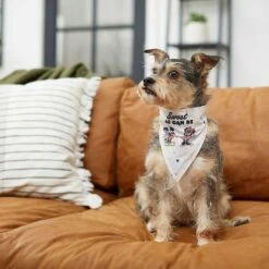 Disney Mickey Mouse & Minnie Mouse "Sweet As Can Be" Reversible Dog & Cat Bandana -Disney 220293 PT5. AC SS1800 V1637707356