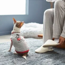 Disney Mickey Mouse & Minnie Mouse "Sweet As Can Be" Reversible Dog & Cat Bandana -Disney 220293 PT7. AC SS1800 V1633126030