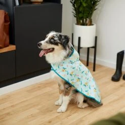 Disney Lightweight Flounder Print Dog & Cat Raincoat 11 Disney Lightweight Flounder Print Dog & Cat Raincoat -Disney 220303 PT8. AC SS1800 V1646178839