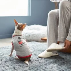 Disney Mickey Mouse Classic Dog & Cat T-shirt -Disney 220324 PT8. AC SS1800 V1646181474