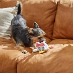 Disney Daisy Duck Plush Squeaky Dog Toy -Disney 220642 PT2. AC SS1800 V1612366637