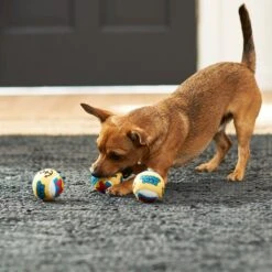 Disney Donald Duck Fetch Squeaky Tennis Ball Dog Toy, 3 Count 5 Disney Donald Duck Fetch Squeaky Tennis Ball Dog Toy, 3 Count -Disney 220671 PT2. AC SS1800 V1612367228