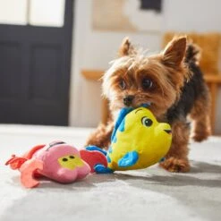 Disney Flounder & Sebastian Plush Squeaky Dog Toy, 2 Count -Disney 220693 PT3. AC SS1800 V1624648367