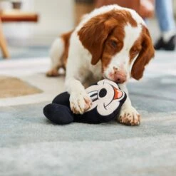 Disney Mickey Mouse Round Plush Squeaky Dog Toy -Disney 220777 PT2. AC SS1800 V1612364914