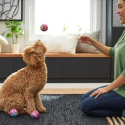 Disney Minnie Mouse Fetch Squeaky Tennis Ball Dog Toy, 3 Count -Disney 220803 PT2. AC SS1800 V1612366616