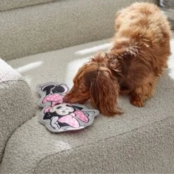 Disney Minnie Mouse Flat Plush Squeaky Dog Toy -Disney 220805 PT2. AC SS1800 V1612364883