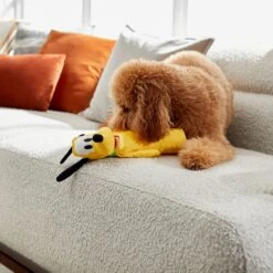 Disney Pluto Bottle Plush Squeaky Dog Toy -Disney 220838 PT2. AC SS1800 V1612364932