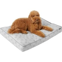 Disney Mickey Mouse Pillow Cat & Dog Bed 6 Disney Mickey Mouse Pillow Cat & Dog Bed -Disney 222213 PT2. AC SS1800 V1611758239