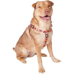 Disney Minnie Mouse Floral Dog Harness -Disney 226360 PT2. AC SS1800 V1613419879