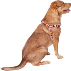 Disney Minnie Mouse Floral Dog Harness -Disney 226360 PT3. AC SS1800 V1613420193