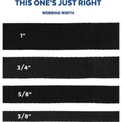 Disney Minnie Mouse Floral Dog Harness -Disney 226360 PT4. AC SS1800 V1642111366