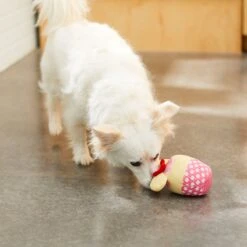 Disney Minnie Mouse Cupcake Plush Squeaky Dog Toy -Disney 230761 PT2. AC SS1800 V1612365181