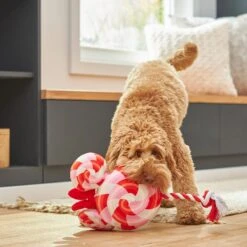 Disney Minnie Mouse Lollipop Plush With Rope Squeaky Dog Toy 5 Disney Minnie Mouse Lollipop Plush With Rope Squeaky Dog Toy -Disney 230773 PT3. AC SS1800 V1621382837