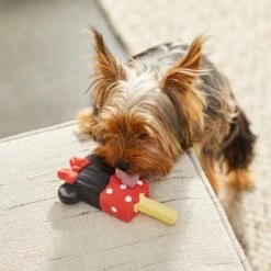 Disney Minnie Mouse Ice Pop Latex Squeaky Dog Toy -Disney 239897 PT3. AC SS1800 V1624648847