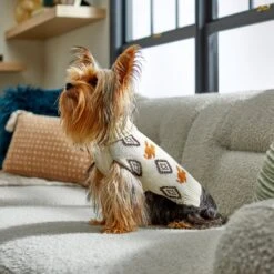 Disney Mickey Mouse Southwest Patterned Dog & Cat Sweater -Disney 264577 PT8. AC SS1800 V1646178494