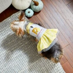 Disney Belle "Once Upon A Time" Dog & Cat Sweatshirt Dress -Disney 264600 PT8. AC SS1800 V1629488670