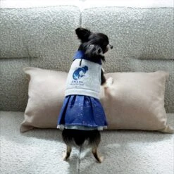 Disney Cinderella "Dreams Come True" Dog & Cat Sweatshirt Dress -Disney 264640 PT7. AC SS1800 V1637729522