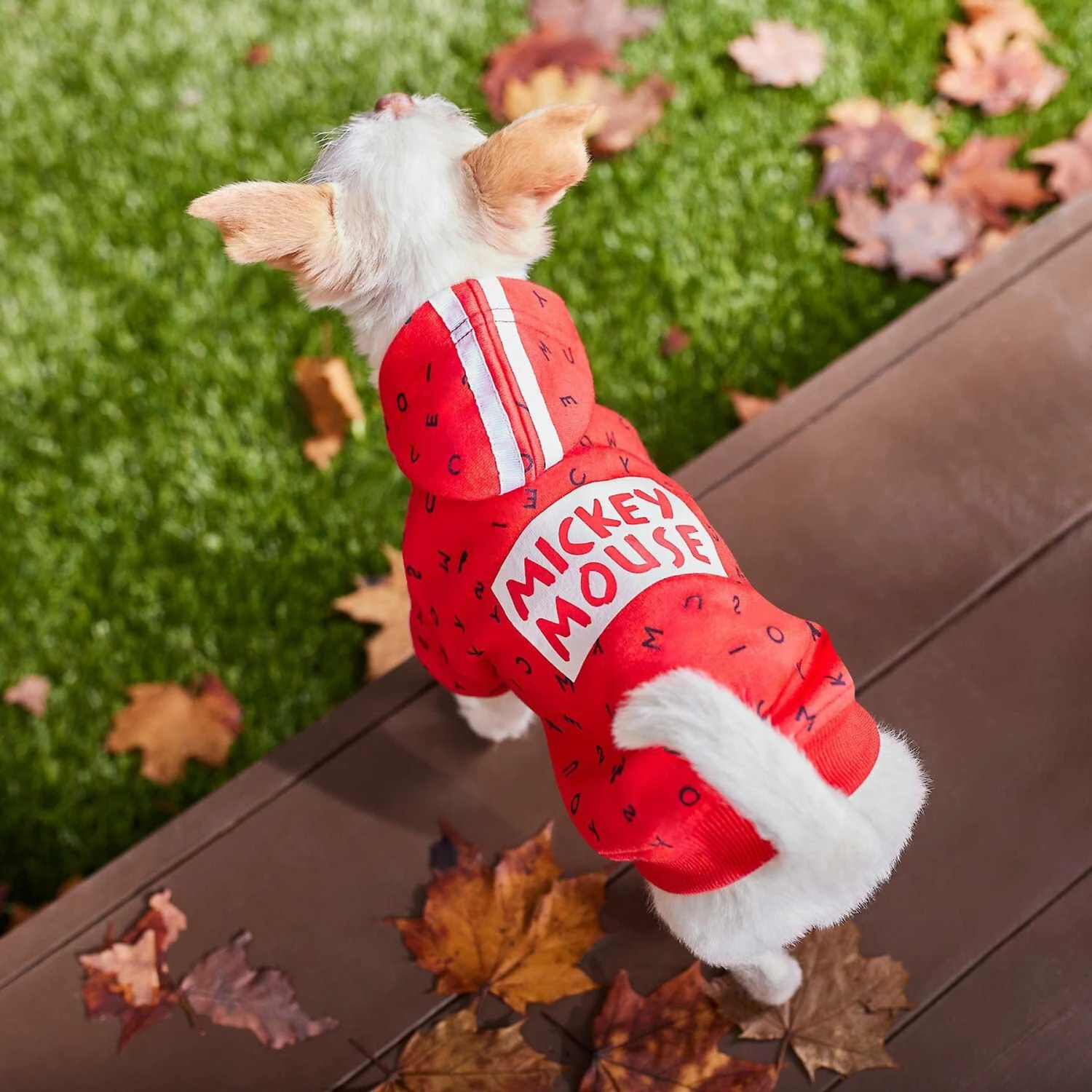 Disney Mickey Mouse Graphic Dog & Cat Hoodie 7 Disney Mickey Mouse Graphic Dog & Cat Hoodie - Image 7