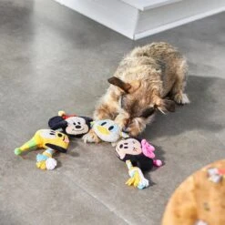 Disney Mickey Mouse & Friends Birthday Plush With Rope Squeaky Dog Toy -Disney 265560 PT3. AC SS1800 V1625069558