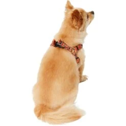 Disney Minnie Halloween Dog Harness -Disney 272961 PT7. AC SS1800 V1624047157