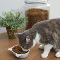 Disney Aristocats Marie Non-skid Ceramic Cat Bowl 7 Disney Aristocats Marie Non-skid Ceramic Cat Bowl -Disney 280578 PT3. AC SS1800 V1629986677