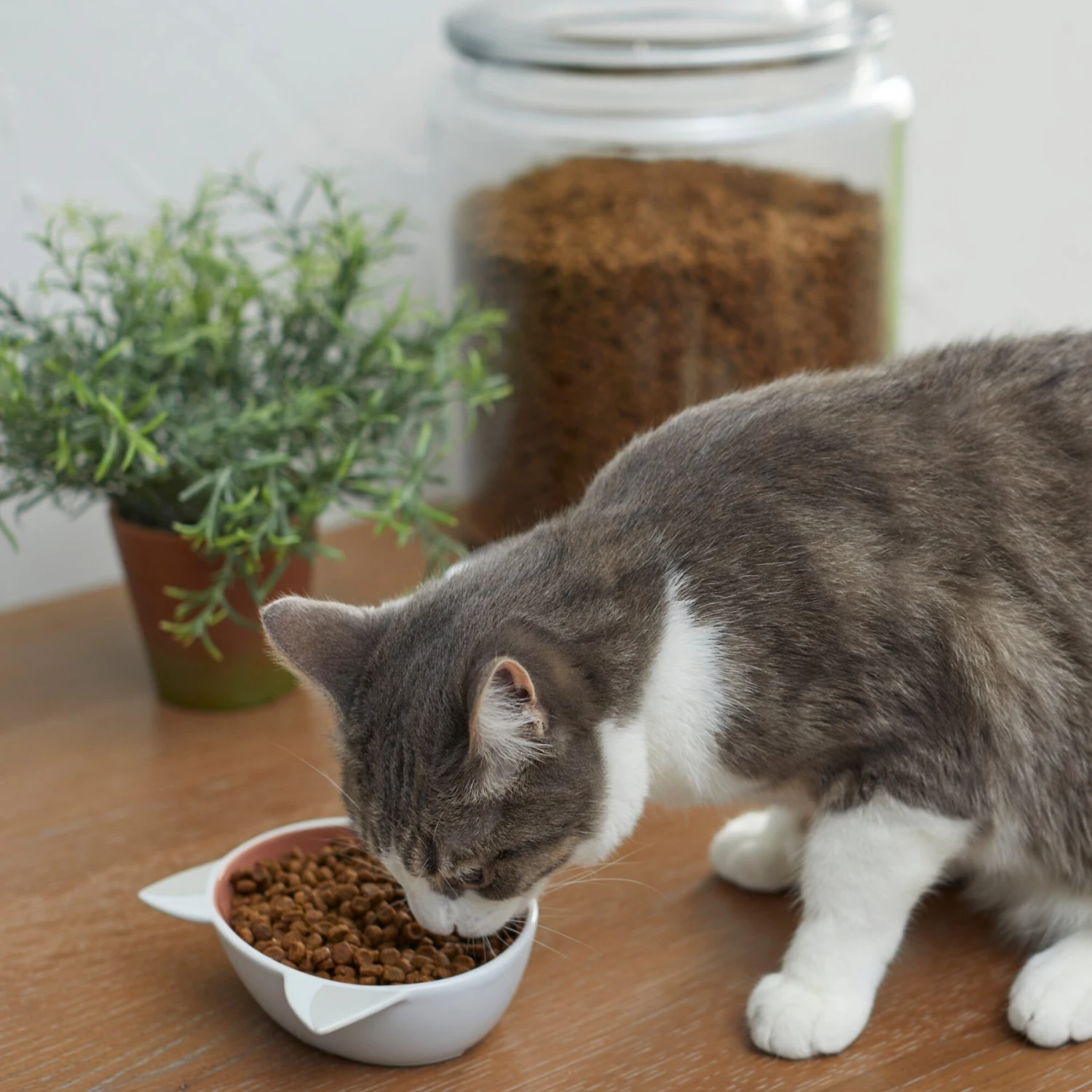 Disney Aristocats Marie Non-skid Ceramic Cat Bowl 3 Disney Aristocats Marie Non-skid Ceramic Cat Bowl - Image 3