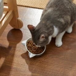 Disney Figaro No-Skid Ceramic Cat Bowl 7 Disney Figaro No-Skid Ceramic Cat Bowl -Disney 280580 PT3. AC SS1800 V1629986631