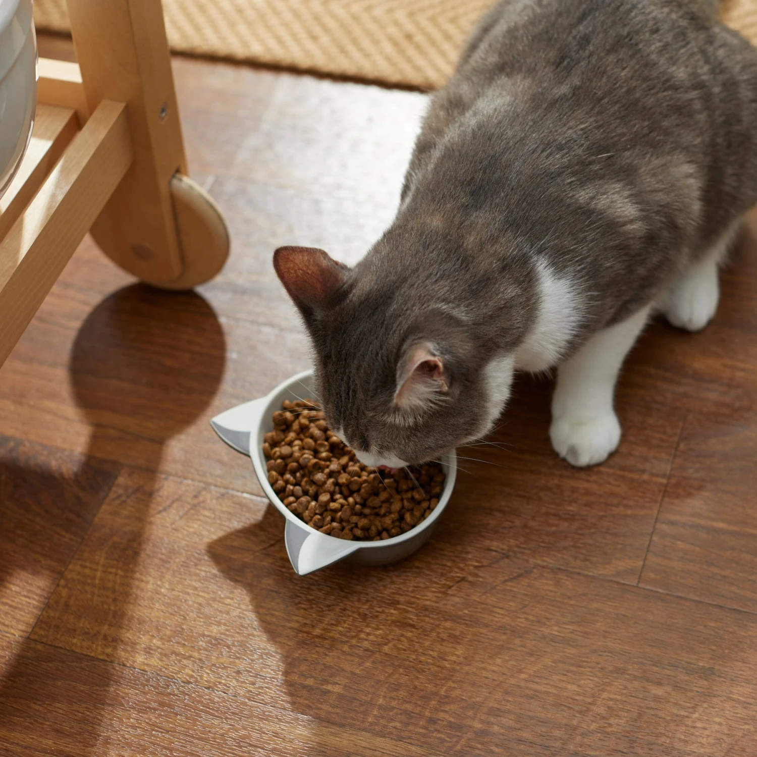 Disney Figaro No-Skid Ceramic Cat Bowl 3 Disney Figaro No-Skid Ceramic Cat Bowl - Image 3