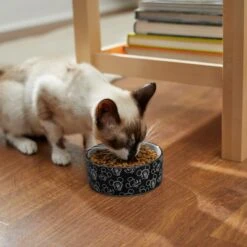 Disney Mickey Mouse Black & White No-Skid Ceramic Dog & Cat Bowl -Disney 280593 PT3. AC SS1800 V1629986575