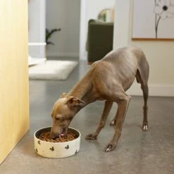 Disney Mickey Mouse Watercolor Silhouette No-Skid Ceramic Dog & Cat Bowl -Disney 280598 PT2. AC SS1800 V1629986704