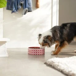 Disney Mickey Mouse Red Deco No-Skid Ceramic Dog & Cat Bowl -Disney 280602 PT2. AC SS1800 V1629987211