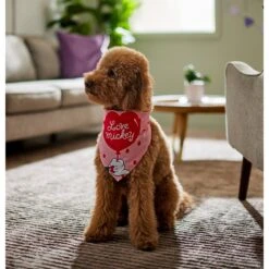 Disney Mickey Mouse "Love Mickey" Dog & Cat Bandana 12 Disney Mickey Mouse "Love Mickey" Dog & Cat Bandana -Disney 290119 PT5. AC SS1800 V1637362002