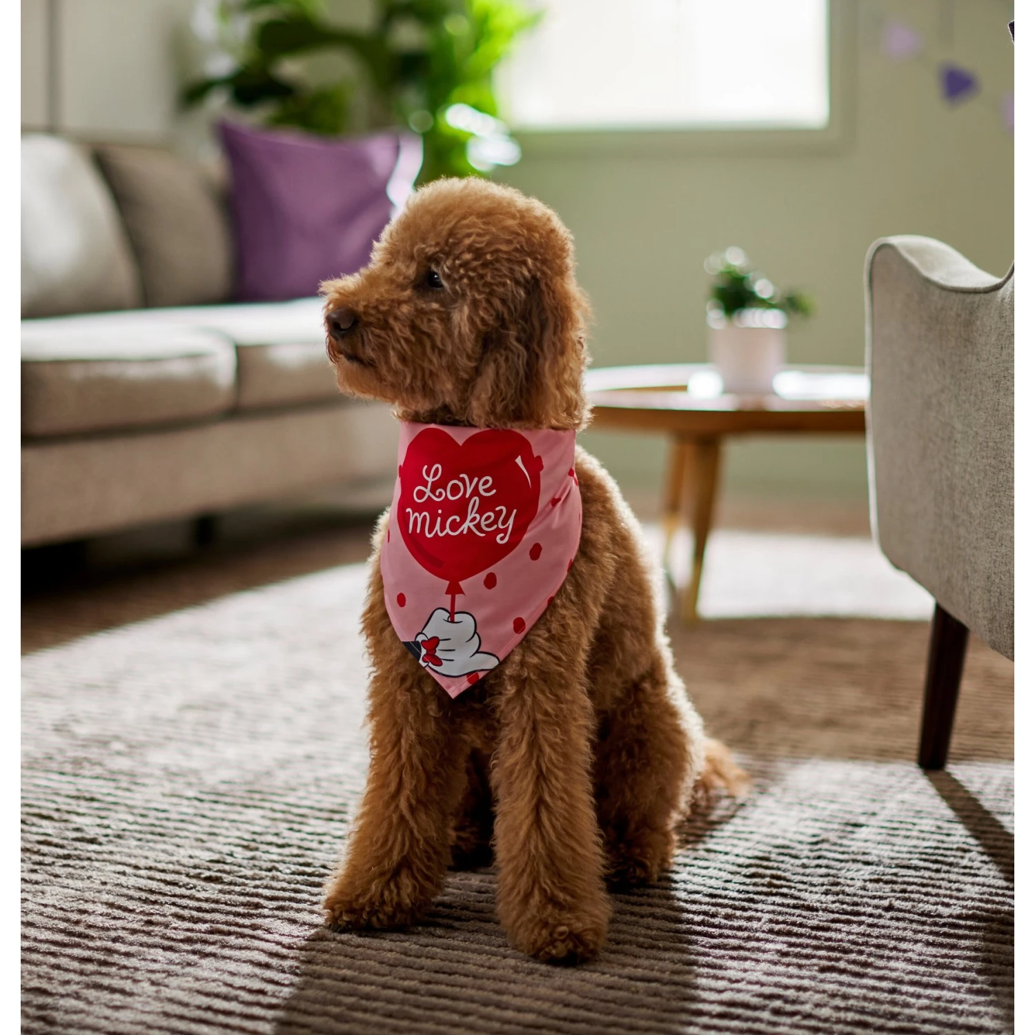 Disney Mickey Mouse "Love Mickey" Dog & Cat Bandana 6 Disney Mickey Mouse "Love Mickey" Dog & Cat Bandana - Image 6