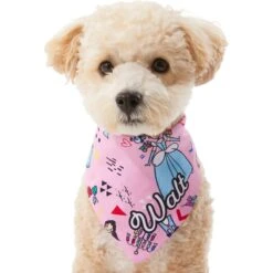 Disney Teeny Princesses Personalized Dog & Cat Bandana -Disney 290154 PT6. AC SS1800 V1630429297