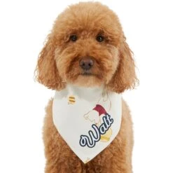 Disney Winnie The Pooh Personalized Dog & Cat Bandana -Disney 290158 PT6. AC SS1800 V1630429051