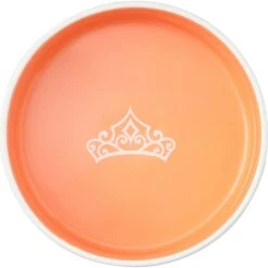 Disney Princesses Non-Skid Ceramic Dog & Cat Bowl 9 Disney Princesses Non-Skid Ceramic Dog & Cat Bowl -Disney 291391 PT4. AC SS1800 V1633979517