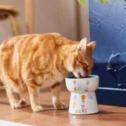 Disney Winnie The Pooh Tall Shape Non-Skid Elevated Ceramic Cat Bowl -Disney 291407 PT3. AC SS1800 V1633979783