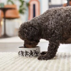 Disney Mickey Mouse Non-Skid Ceramic Dog & Cat Bowl -Disney 291422 PT2. AC SS1800 V1633979437