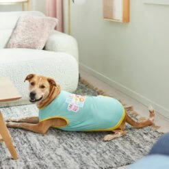 Disney Mickey & Minnie "Hip Hop Hooray" Dog & Cat T-Shirt -Disney 297548 PT5. AC SS1800 V1640712466