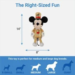 Disney Mickey & Minnie Mouse Plush Squeaky Dog Toy, 2 Count -Disney 298970 PT2. AC SS1800 V1642088346