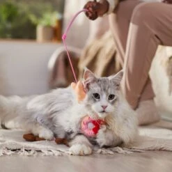 Disney Mickey & Minnie Mouse Donut Teaser Cat Toy With Catnip -Disney 299005 PT3. AC SS1800 V1701364869