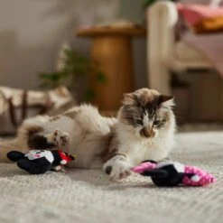 Disney Mickey & Minnie Mouse Plush Cat Toy With Catnip, 2 Count -Disney 299011 PT3. AC SS1800 V1701364870