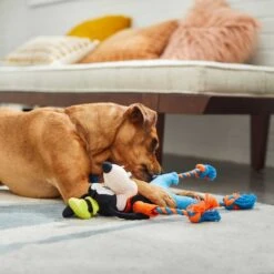 Disney Goofy Plush With Rope Squeaky Dog Toy & Disney Pluto Bottle Plush Squeaky Dog Toy 10 Disney Goofy Plush With Rope Squeaky Dog Toy & Disney Pluto Bottle Plush Squeaky Dog Toy -Disney 302342 PT3. AC SS1800 V1623081748