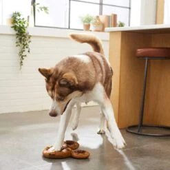 Disney Mickey Mouse Donut Plush Squeaky Dog Toy & Disney Minnie Mouse Donut Plush Squeaky Dog Toy -Disney 302346 PT3. AC SS1800 V1623070645