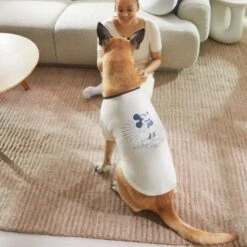 Disney Vintage Mickey Mouse Dog & Cat T-shirt -Disney 311782 PT8. AC SS1800 V1643329468