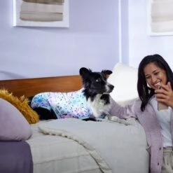 Disney Mickey & Friends Tie Dye Dog & Cat Jersey PJs -Disney 311817 PT8. AC SS1800 V1643323767