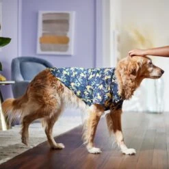 Disney Lion King's Simba Jungle Dog & Cat Shirt 15 Disney Lion King's Simba Jungle Dog & Cat Shirt -Disney 311842 PT8. AC SS1800 V1643323713