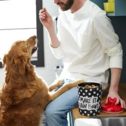 Disney Minnie Mouse Peek-A-Boo Melamine Dog & Cat Treat Jar 8 Disney Minnie Mouse Peek-A-Boo Melamine Dog & Cat Treat Jar -Disney 315289 PT2. AC SS1800 V1647282455